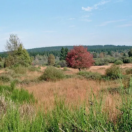 Apartment Roder Am Eifelsteig