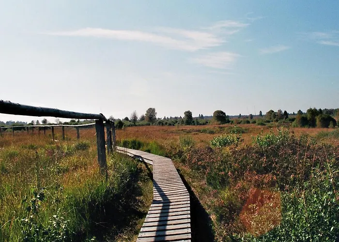 Roder Am Eifelsteig Lejlighed *