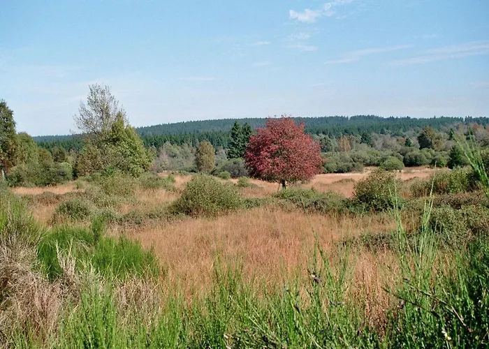 Lejlighed Roder Am Eifelsteig
