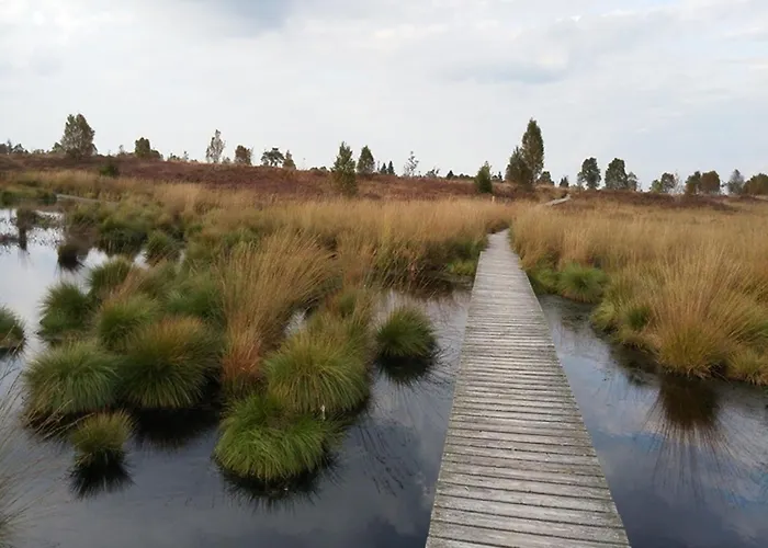 Lejlighed Roder Am Eifelsteig *
